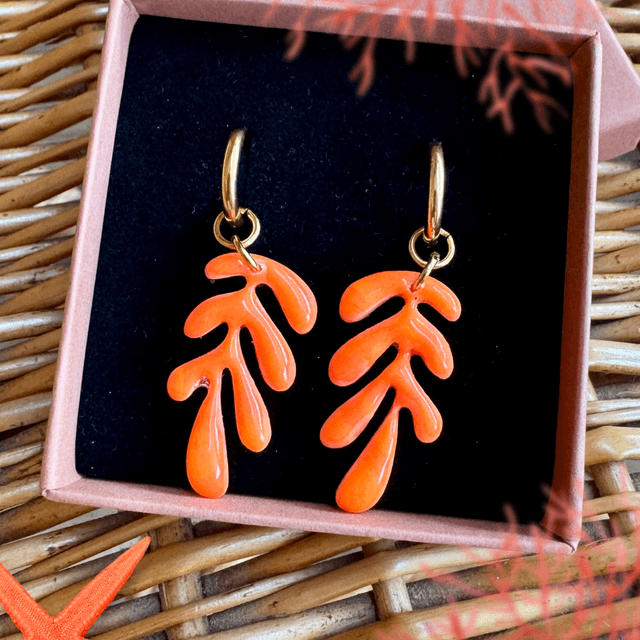 Algus Orange Corail